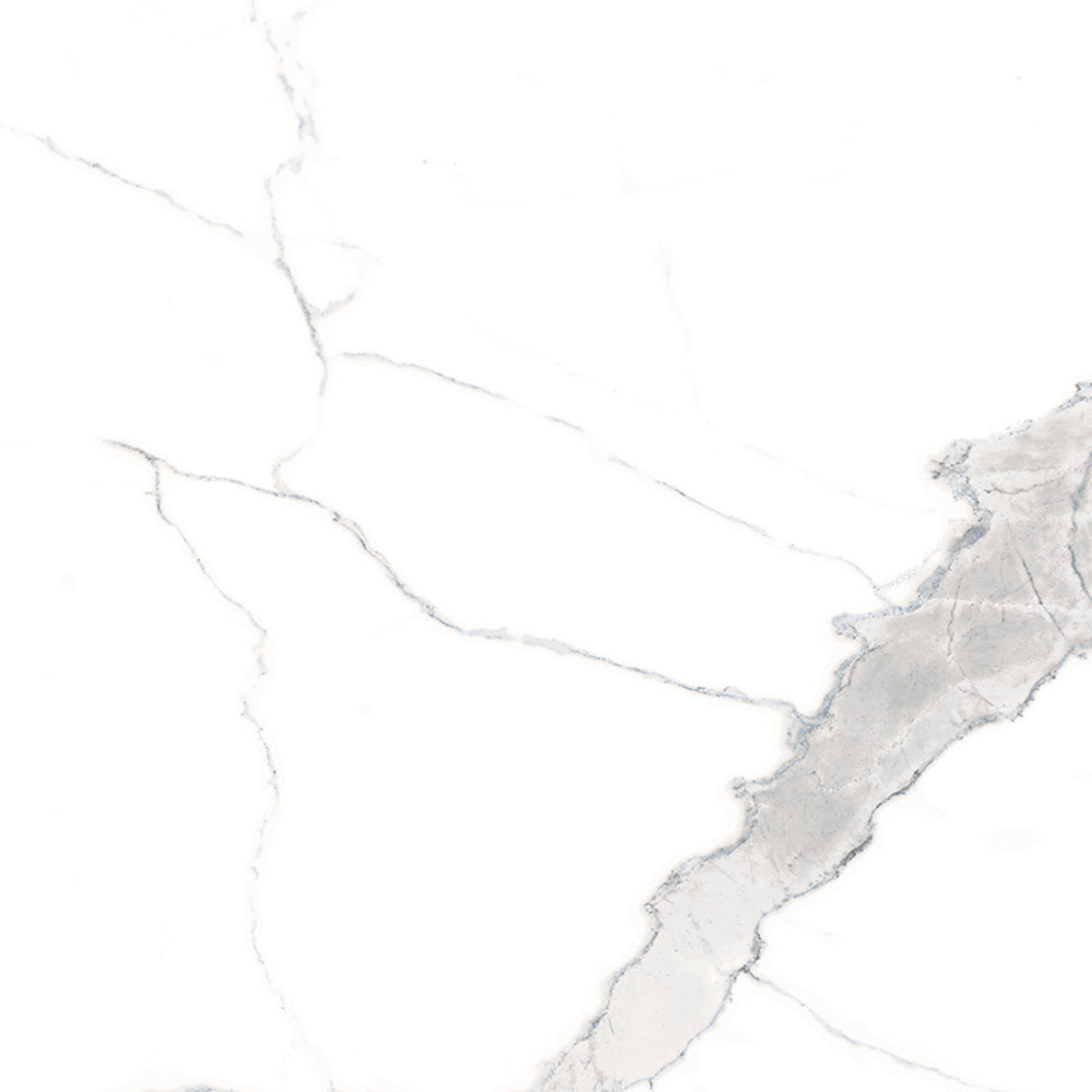 Windsor 12"x12" Calacatta Porcelain Matte Tile
