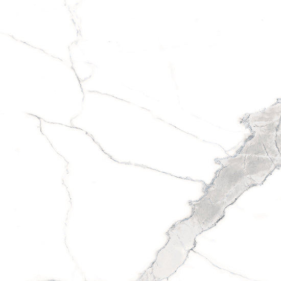 Windsor 12"x12" Calacatta Porcelain Matte Tile