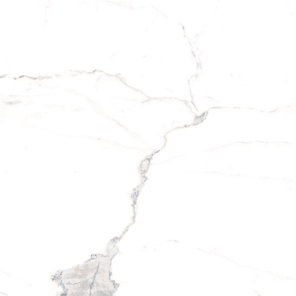 Windsor 12"x12" Calacatta Porcelain Matte Tile