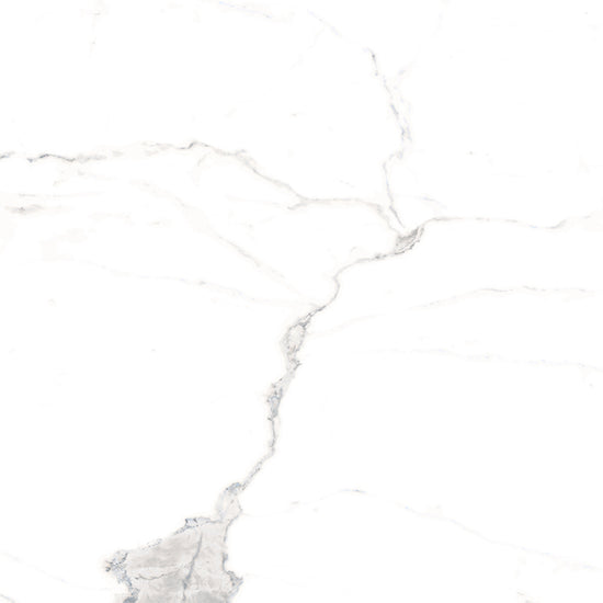 Windsor 12"x12" Calacatta Porcelain Matte Tile