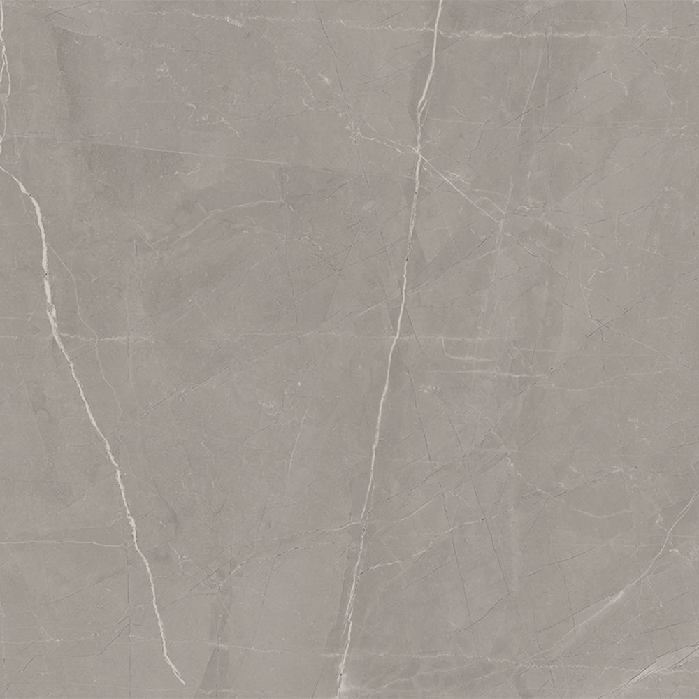 Windsor 12"x12" Amani Grey Porcelain Matte Tile