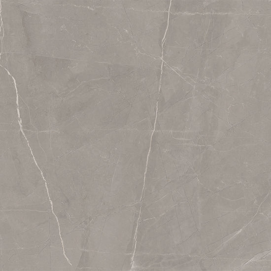 Windsor 12"x12" Amani Grey Porcelain Matte Tile