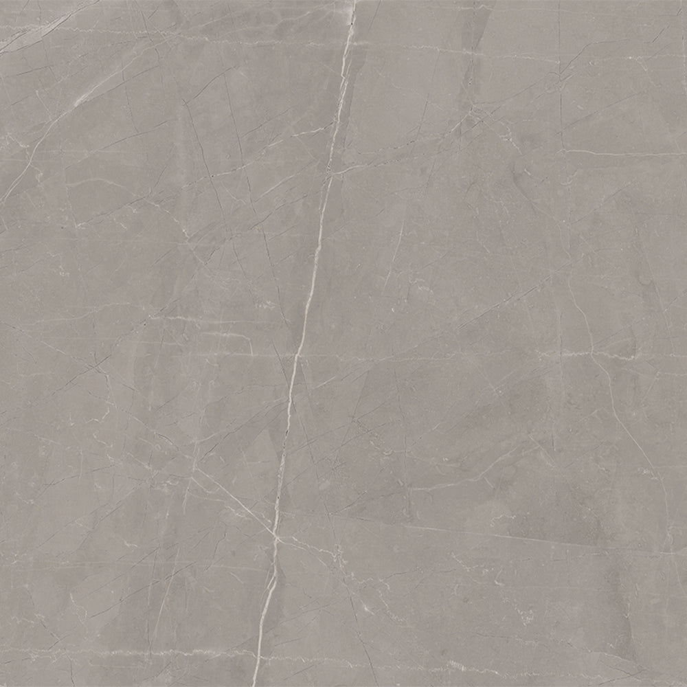 Windsor 12"x12" Amani Grey Porcelain Matte Tile