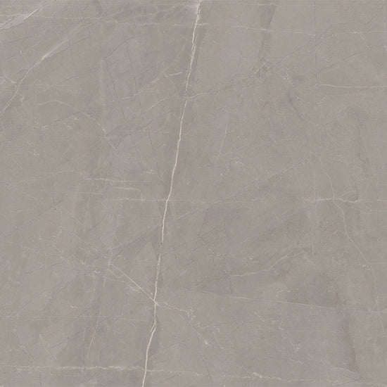 Windsor 12"x12" Amani Grey Porcelain Matte Tile