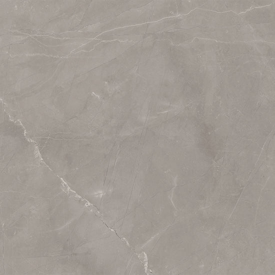 Windsor 12"x12" Amani Grey Porcelain Matte Tile