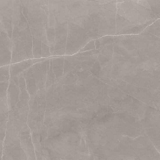 Windsor 12"x12" Amani Grey Porcelain Matte Tile