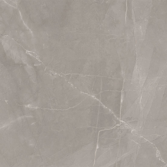 Windsor 12"x12" Amani Grey Porcelain Matte Tile