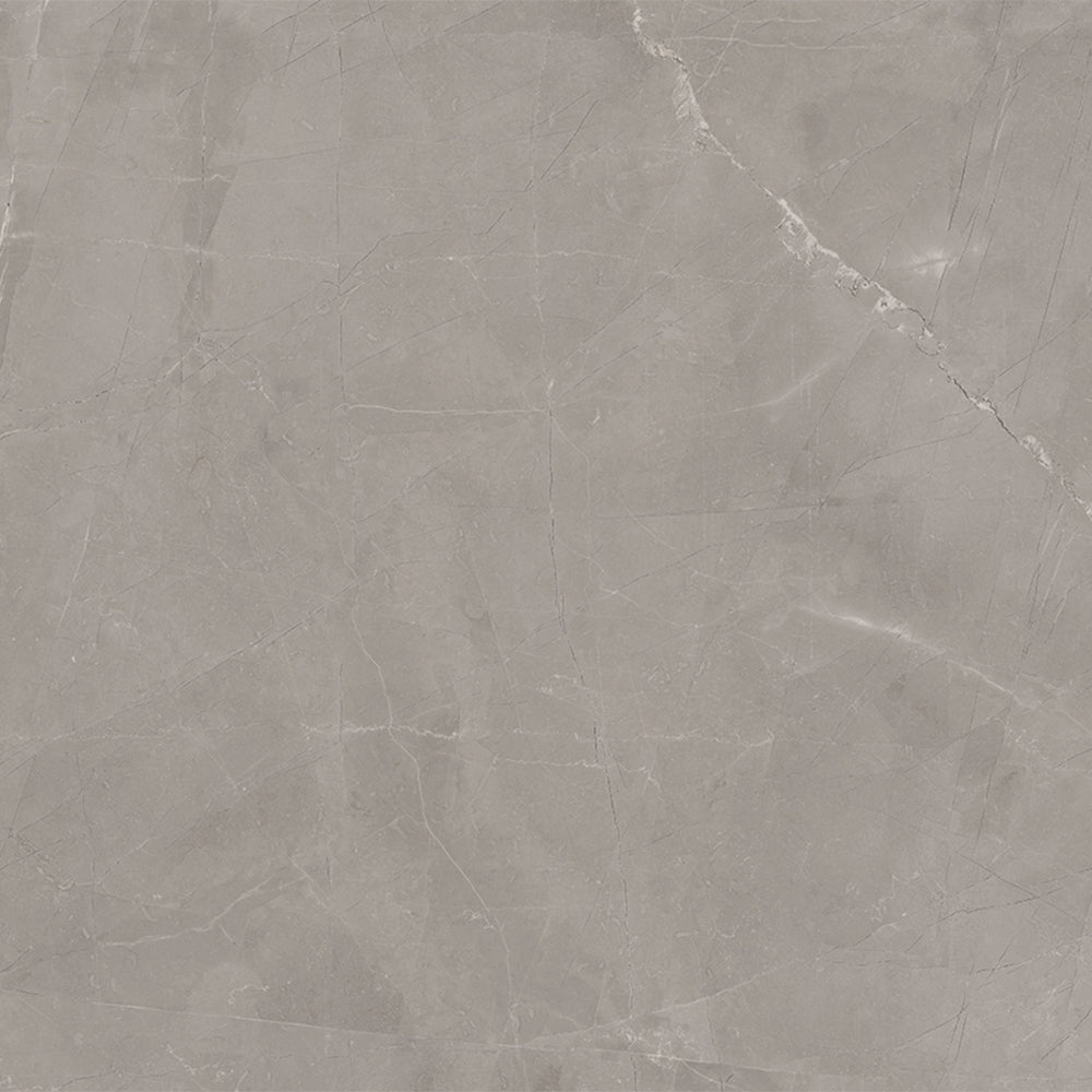 Windsor 12"x12" Amani Grey Porcelain Matte Tile