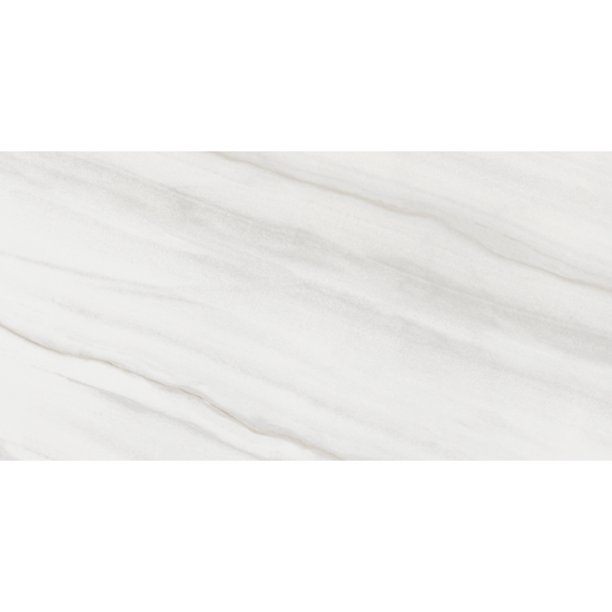 Kingsley 24" x 48" Blanco Porcelain Glossy Tile
