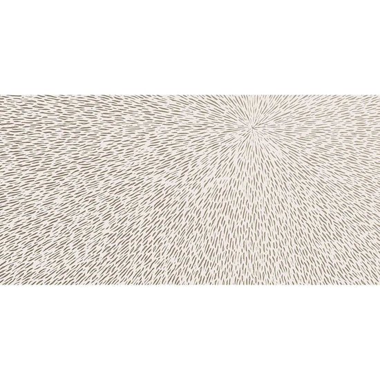 Rainfall 24" x 48" Blanco Porcelain Matte Tile