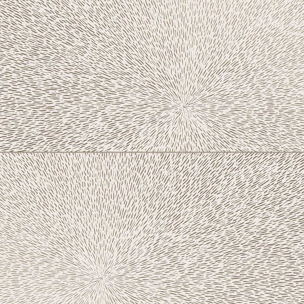 Rainfall 24" x 48" Blanco Porcelain Matte Tile