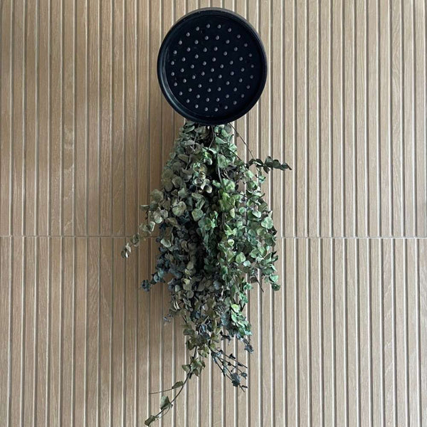 Marqueterie 24" x 48" Original Porcelain Matte Tile