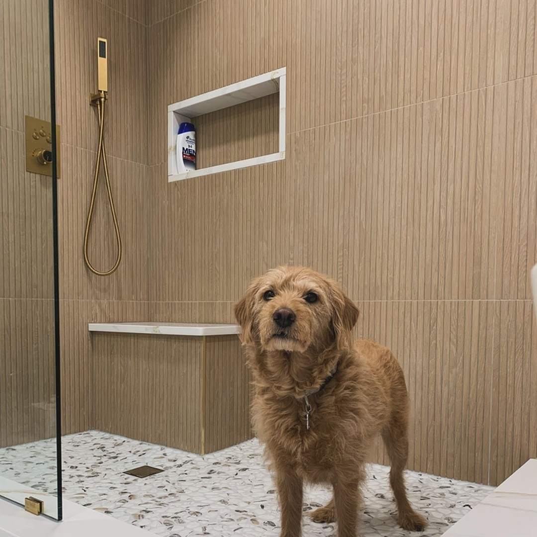 Marqueterie 24"x48" Porcelain Matte Tile