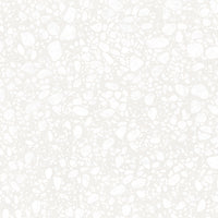 Pop White