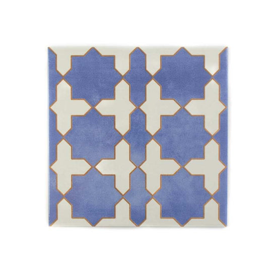 Gothic 10"x10" Porcelain Shiny and Textured Tile