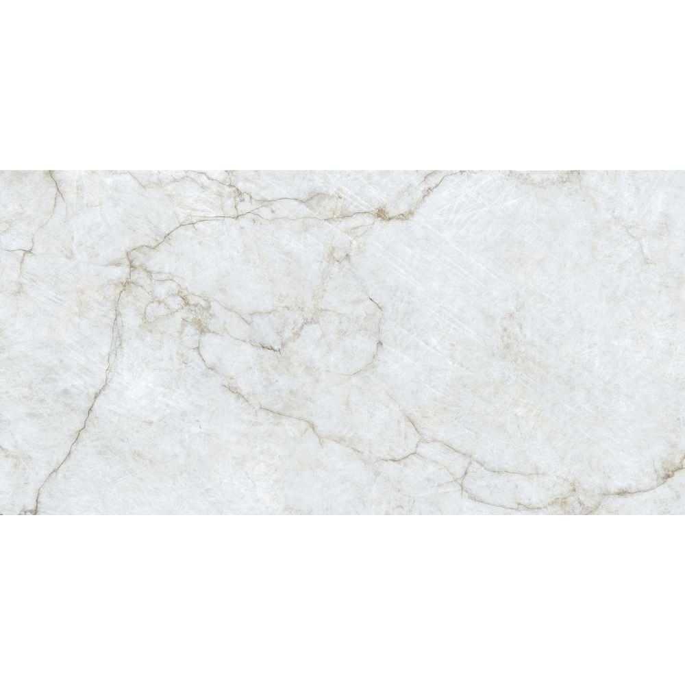 Beau 24"x48" Porcelain Polished Tile