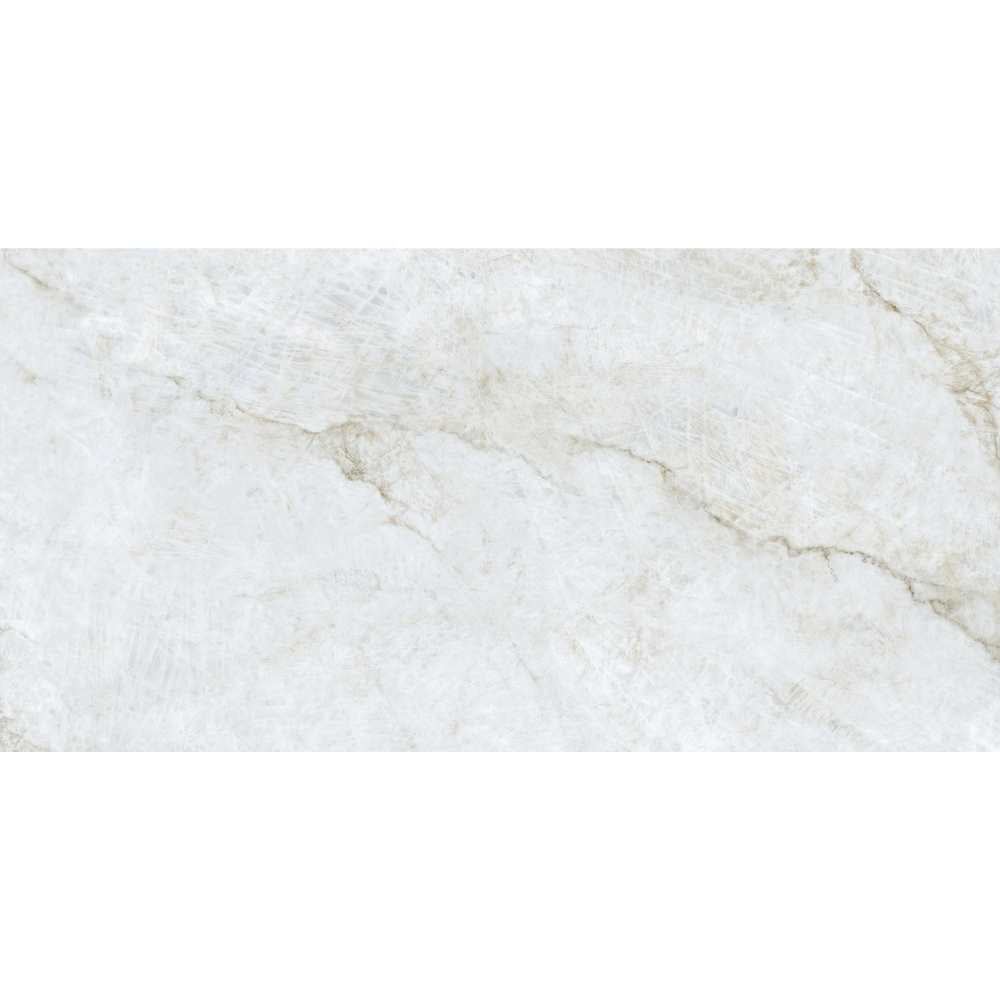 Beau 24"x48" Porcelain Polished Tile
