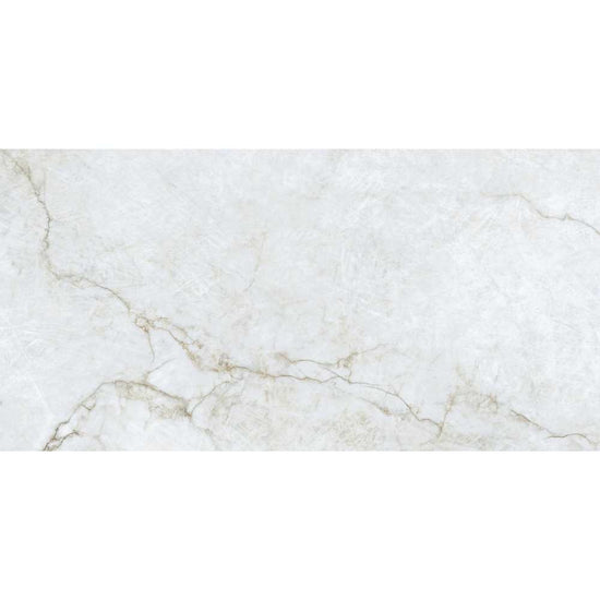 Beau 24"x48" Porcelain Polished Tile