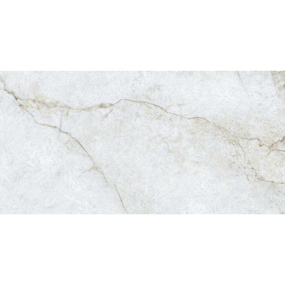 Beau 24"x48" Porcelain Polished Tile