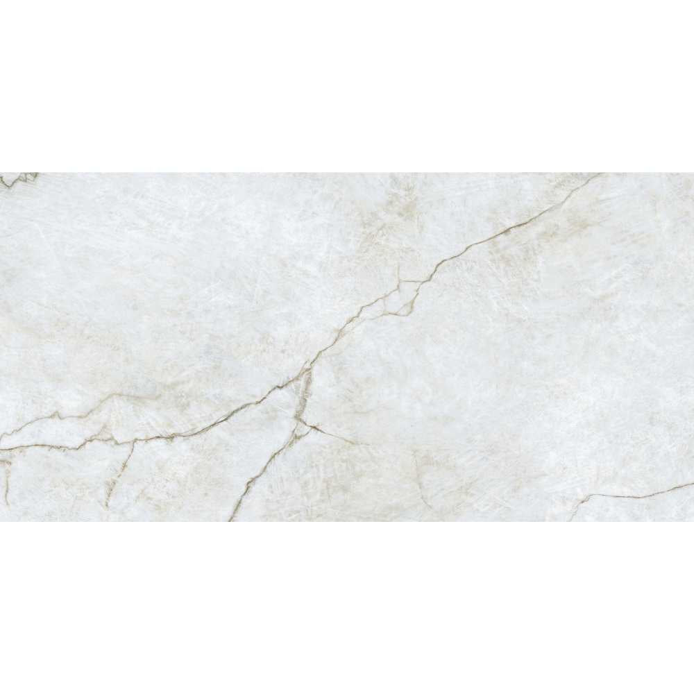Beau 24"x48" Porcelain Polished Tile