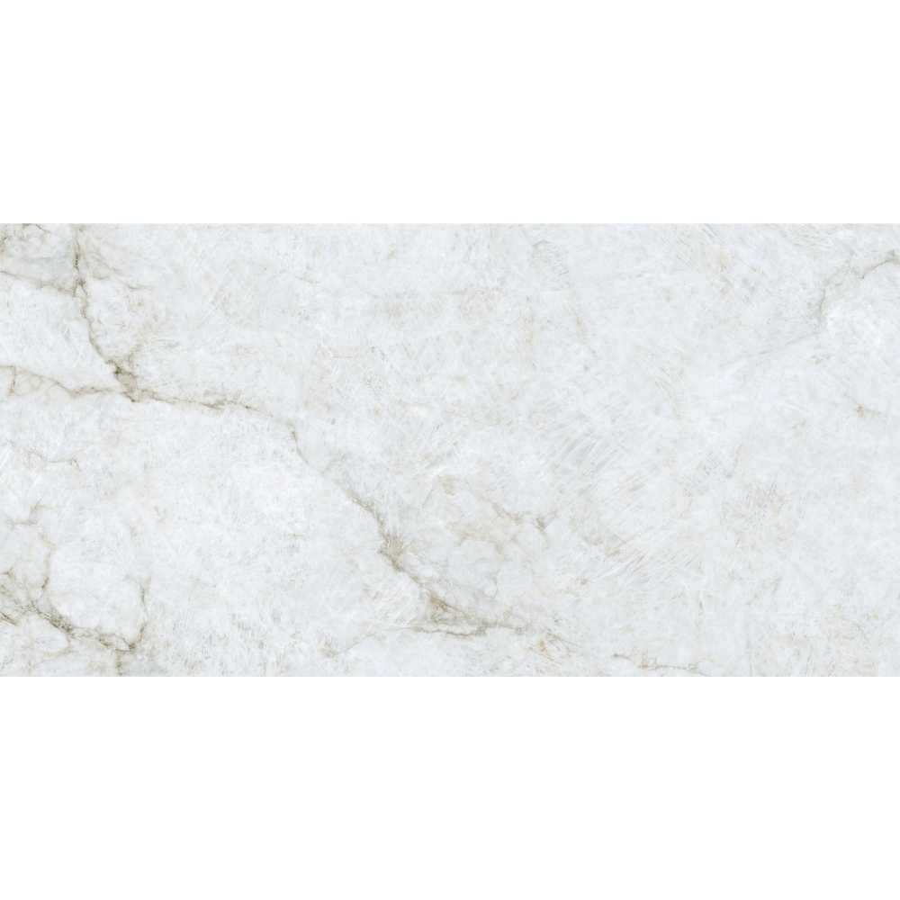 Beau 24"x48" Porcelain Polished Tile