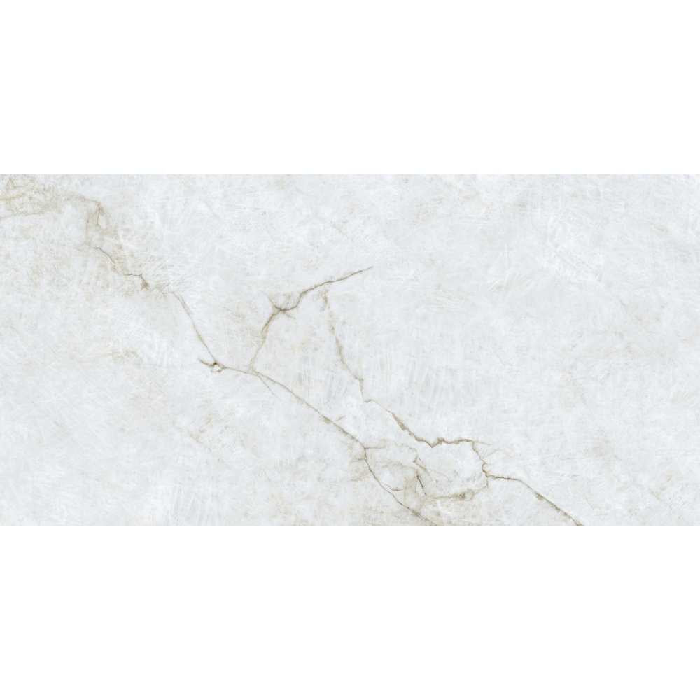 Beau 24"x48" Porcelain Polished Tile