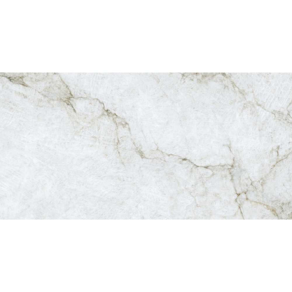 Beau 24"x48" Porcelain Polished Tile