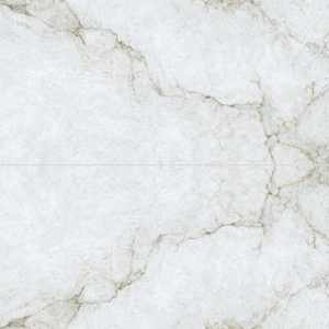 Beau 24" x 48" Gold Porcelain Polished Tile