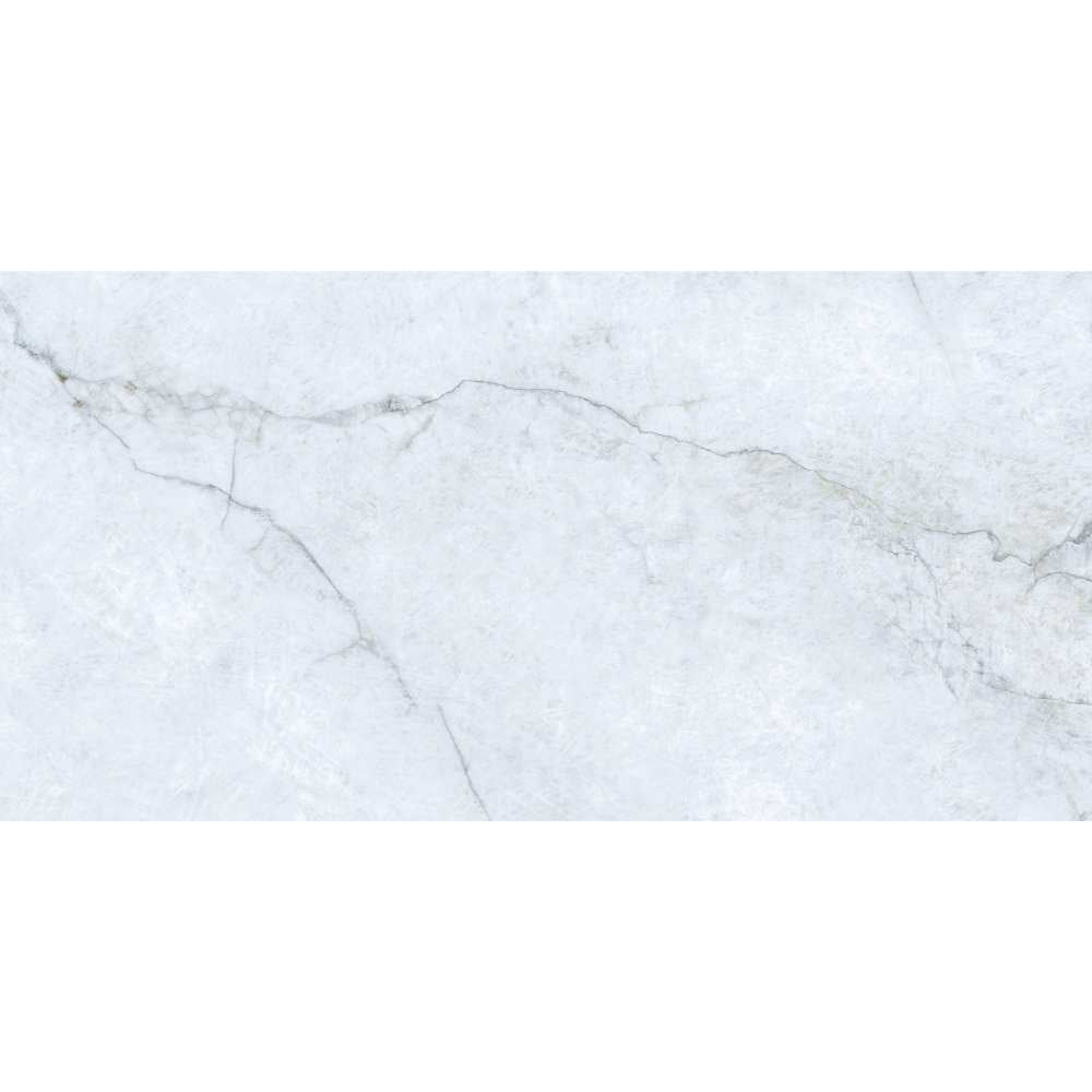 Beau 24"x48" Porcelain Polished Tile