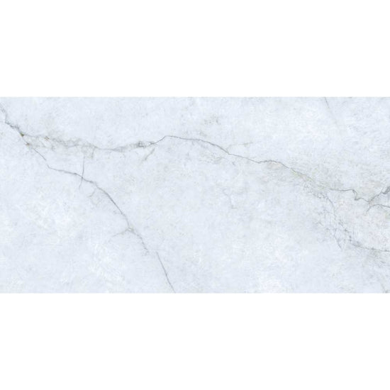 Beau 24"x48" Porcelain Polished Tile