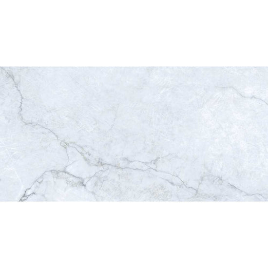 Beau 24"x48" Porcelain Polished Tile
