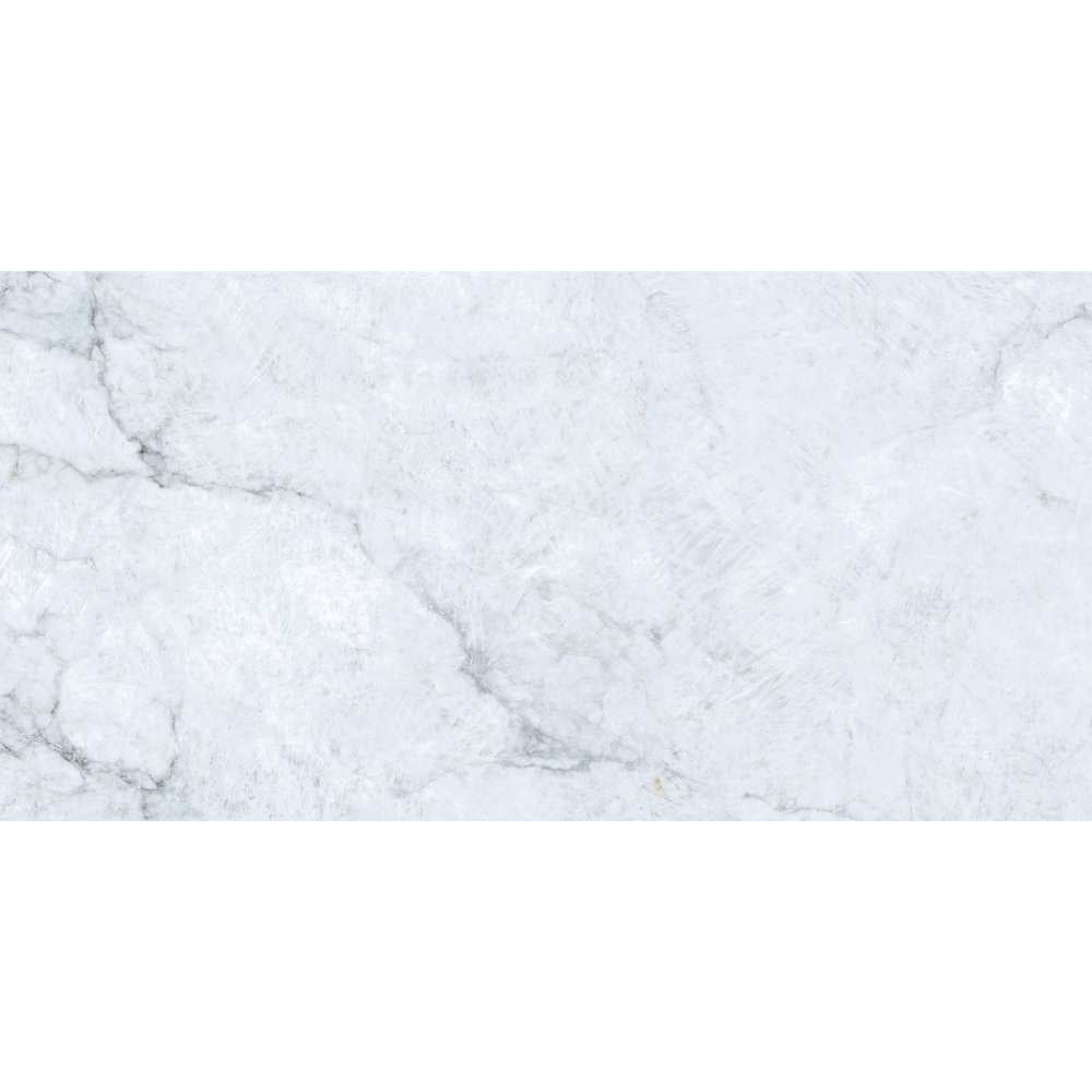 Beau 24"x48" Porcelain Polished Tile
