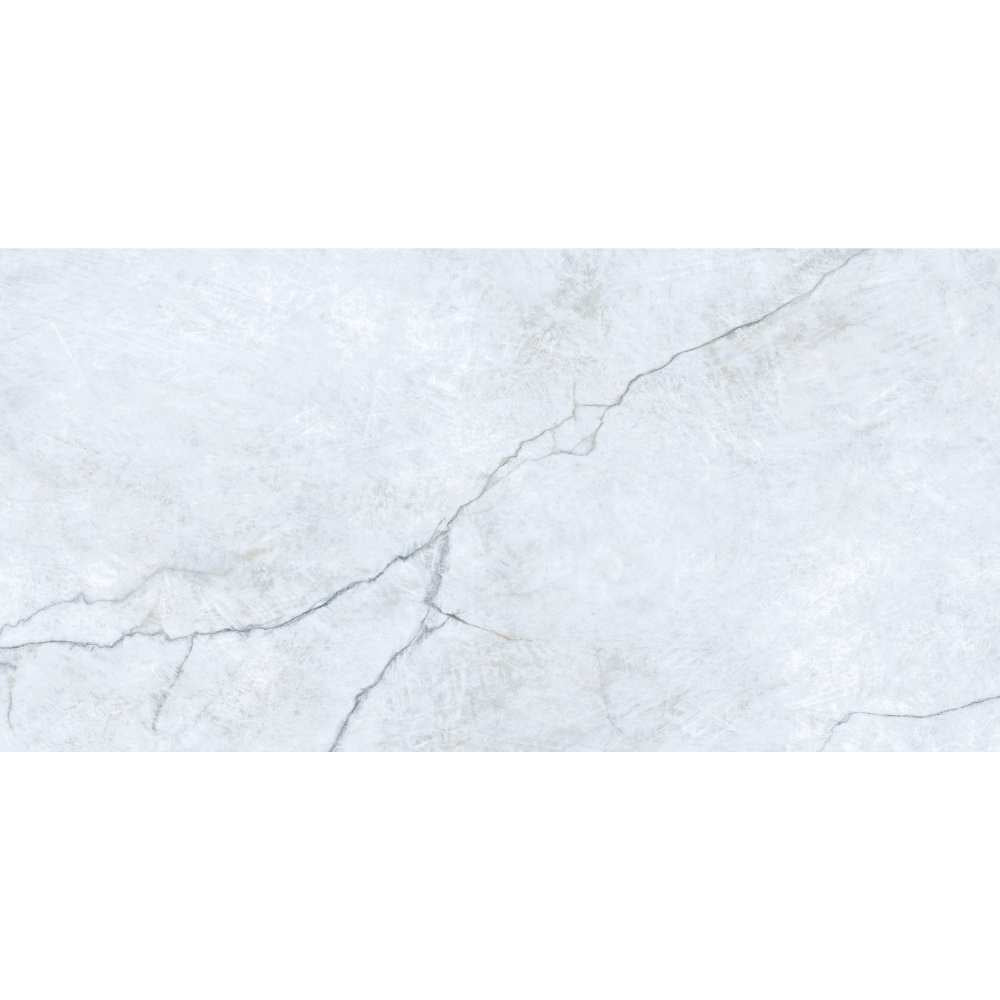 Beau 24"x48" Porcelain Polished Tile