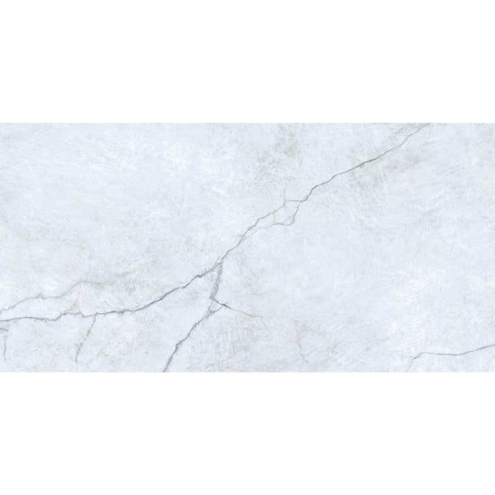 Beau 24"x48" Porcelain Polished Tile