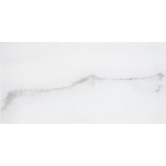 Penthouse 12"x24" Porcelain Polished Tile
