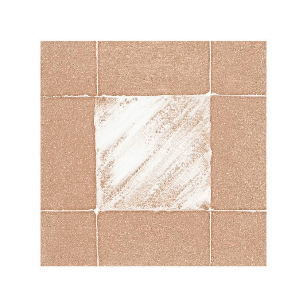 Reina Terracotta Buffalo 8"x8" Cotto Porcelain Matte and Shiny Tile