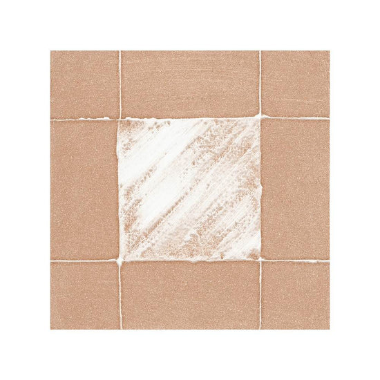 Reina Terracotta Buffalo 8"x8" Cotto Porcelain Matte and Shiny Tile