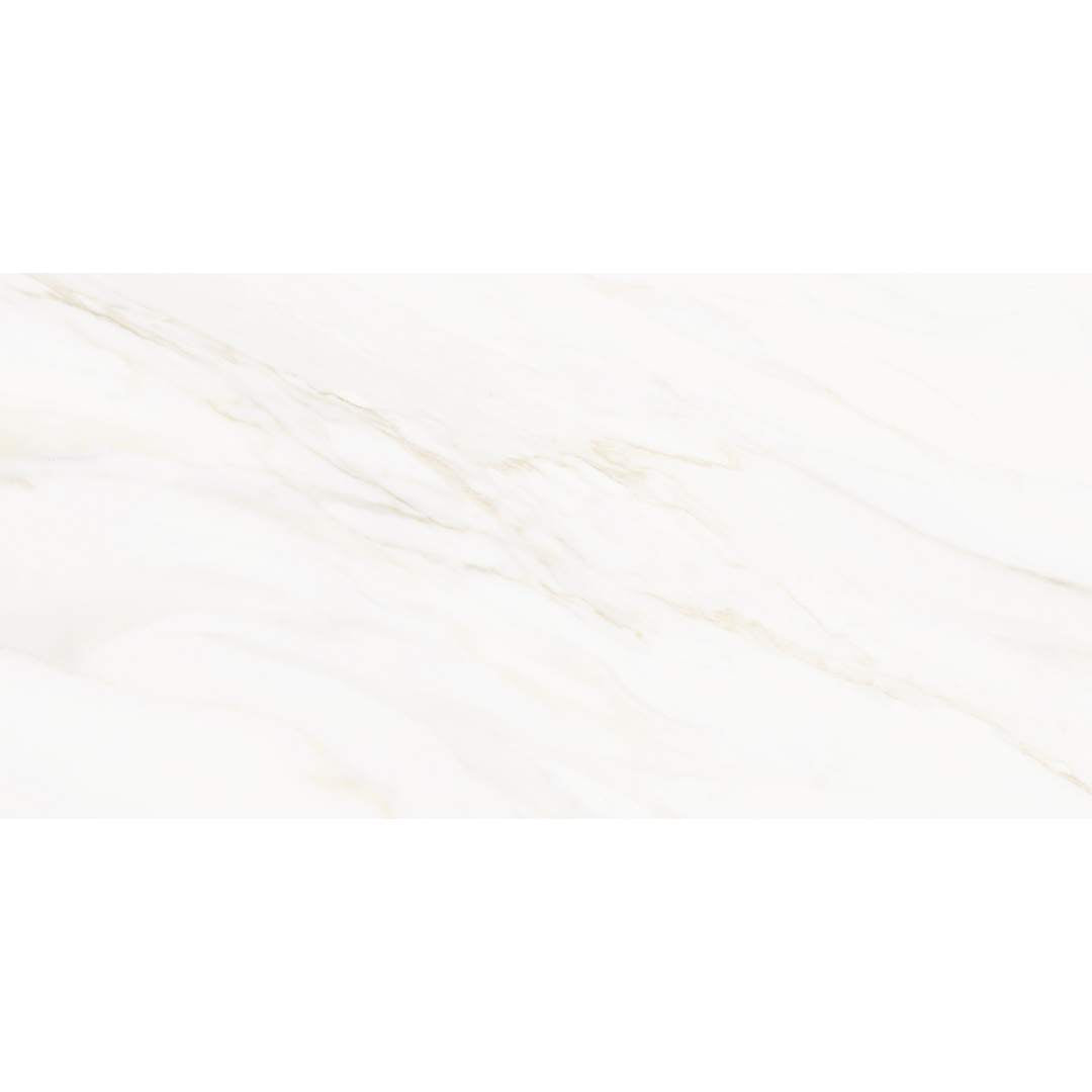 Savannah 12" x 24" Porcelain Polished Tile