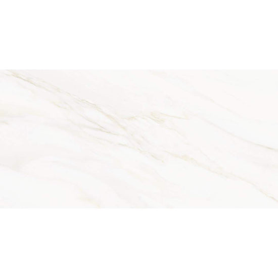 Savannah 12" x 24" Porcelain Polished Tile