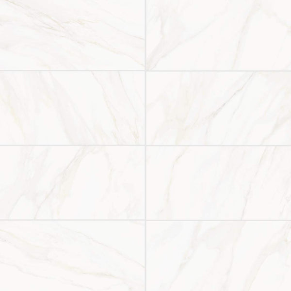 Savannah 12" x 24" Porcelain Polished Tile