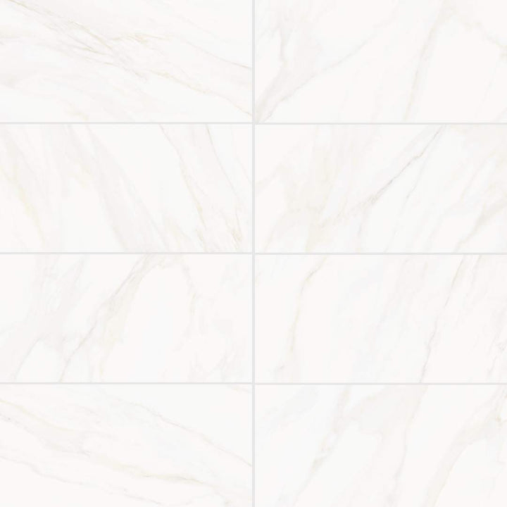 Savannah 12" x 24" Porcelain Polished Tile