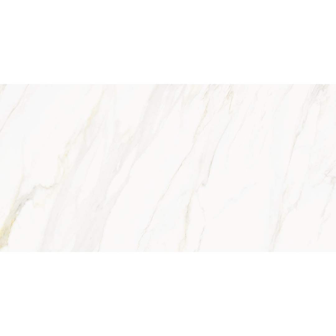 Savannah 24"x48" Porcelain Polished Tile