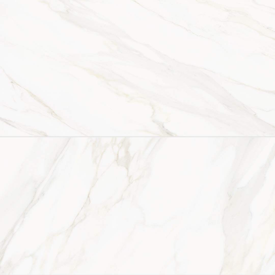 Savannah 24" x 48" Porcelain Polished Tile