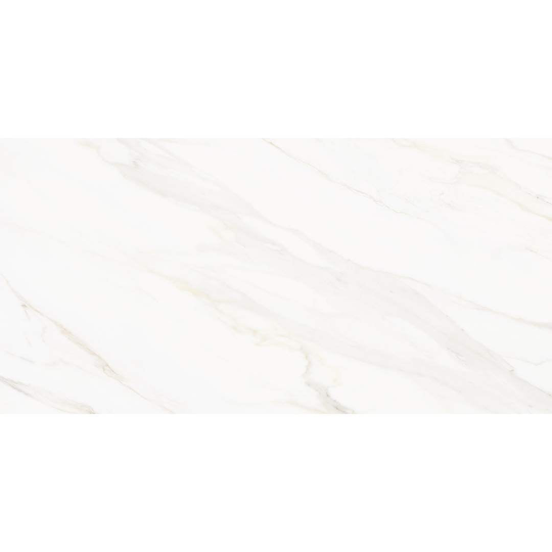 Savannah 24"x48" Porcelain Polished Tile