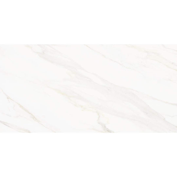 Savannah 24"x48" Porcelain Polished Tile
