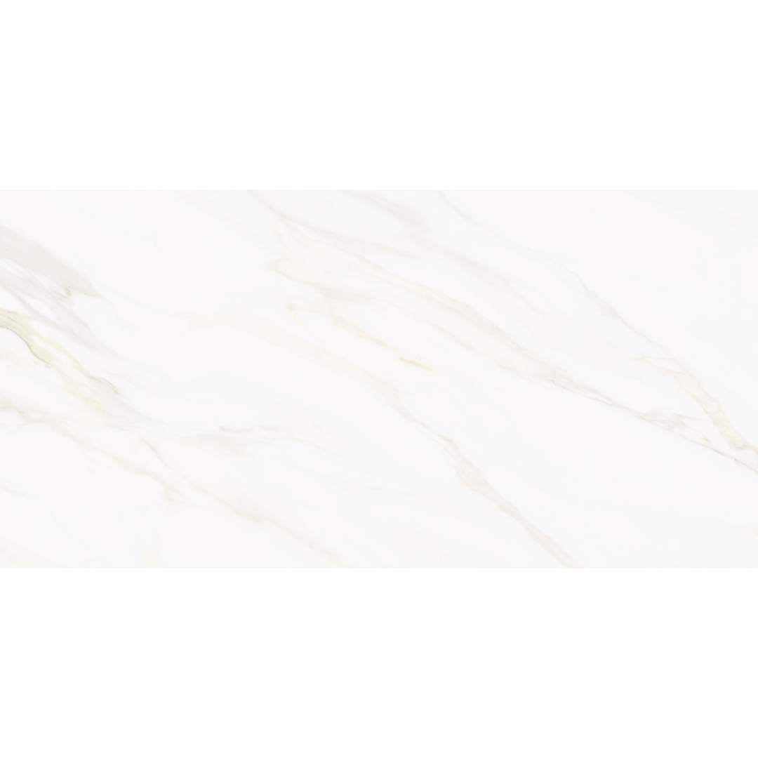 Savannah 24"x48" Porcelain Polished Tile