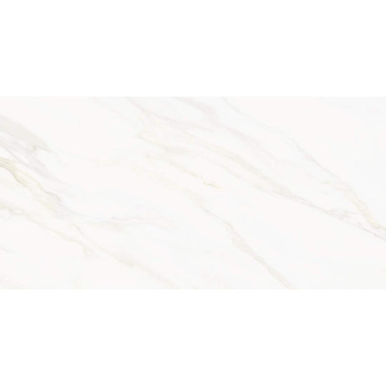 Savannah 24"x48" Porcelain Polished Tile