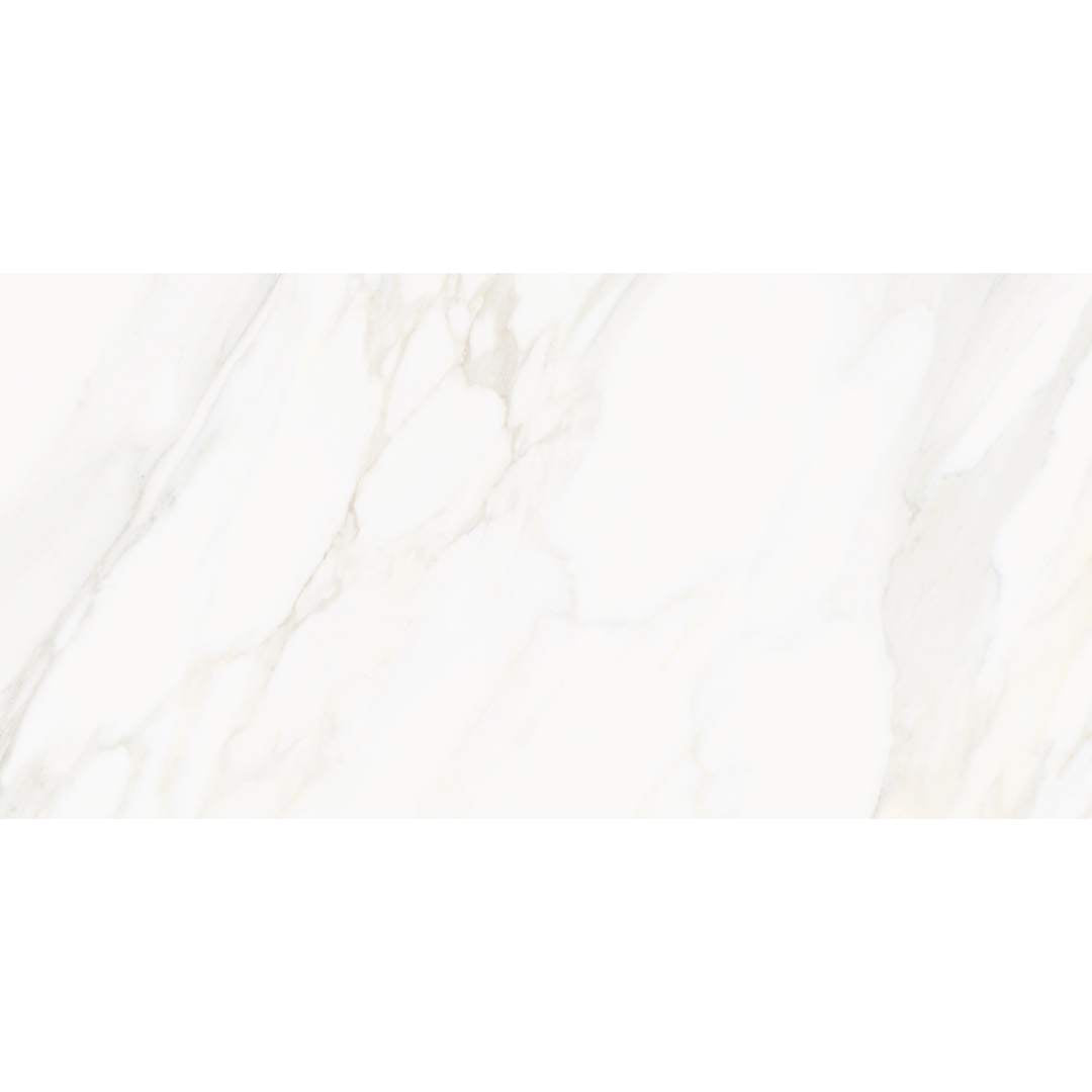 Savannah 24" x 48" Porcelain Polished Tile