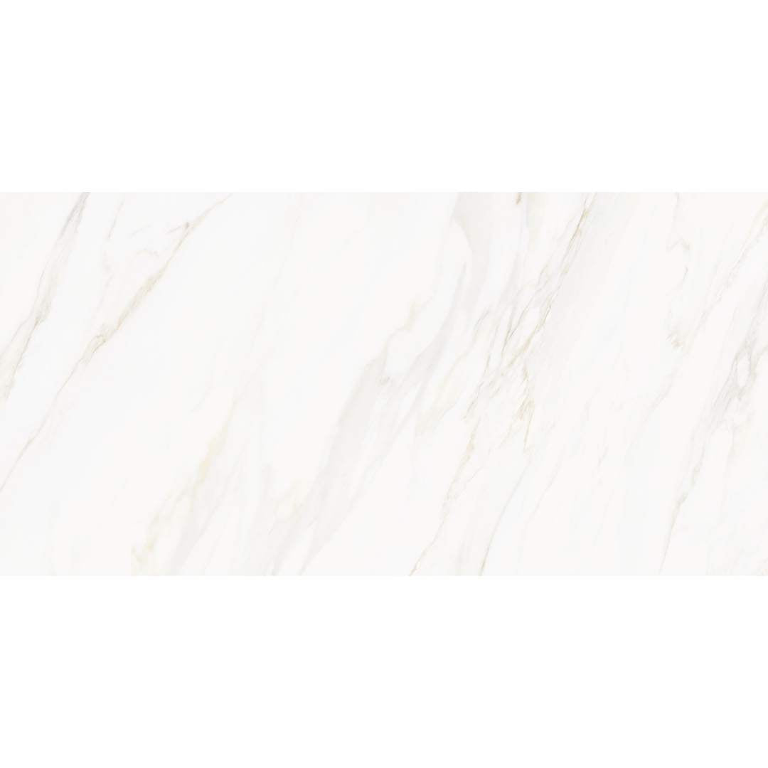 Savannah 24"x48" Porcelain Polished Tile