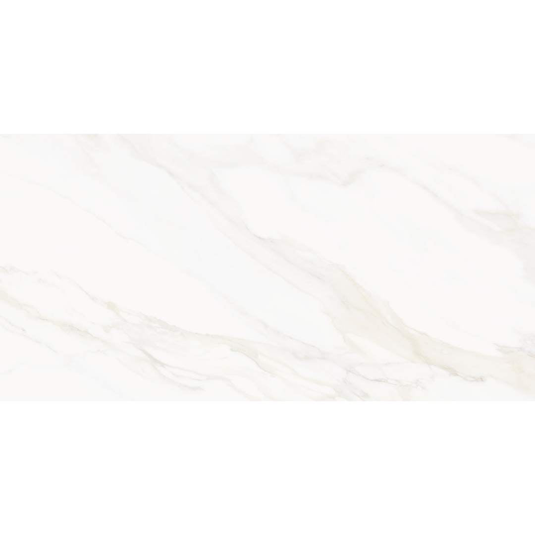 Savannah 24"x48" Porcelain Polished Tile